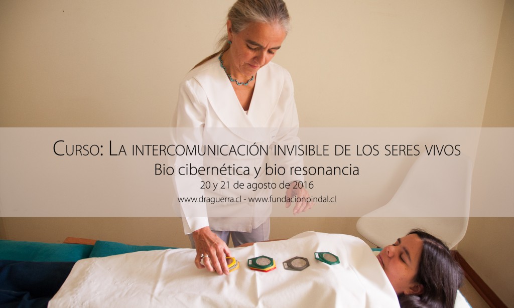 curso sintergetica medicina alternativa complementaria